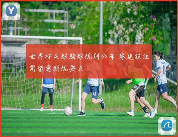 世界杯足球赌球规则公布 球迷投注需留意新规要点