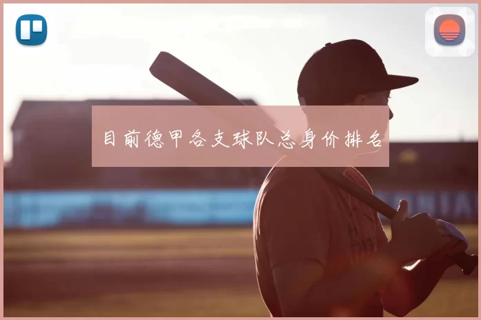 目前德甲各支球队总身价排名