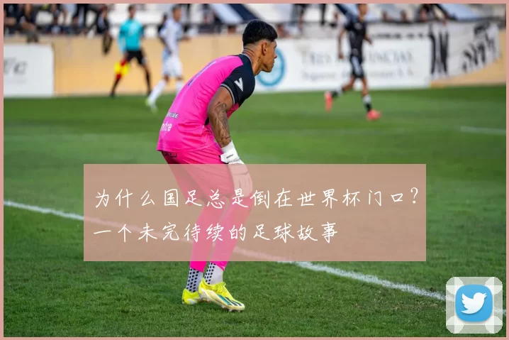 为什么国足总是倒在世界杯门口？一个未完待续的足球故事