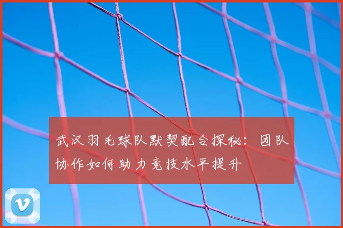 武汉羽毛球队默契配合探秘：团队协作如何助力竞技水平提升