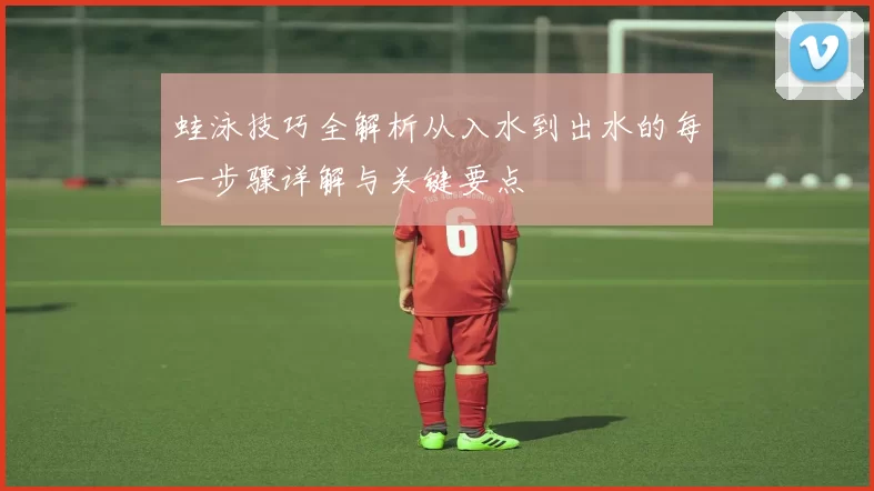蛙泳技巧全解析从入水到出水的每一步骤详解与关键要点