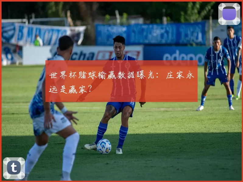 世界杯赌球输赢数据曝光：庄家永远是赢家？