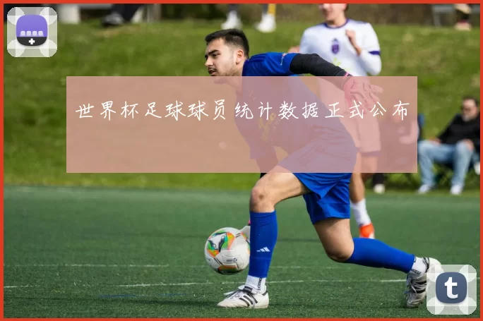 世界杯足球球员统计数据正式公布