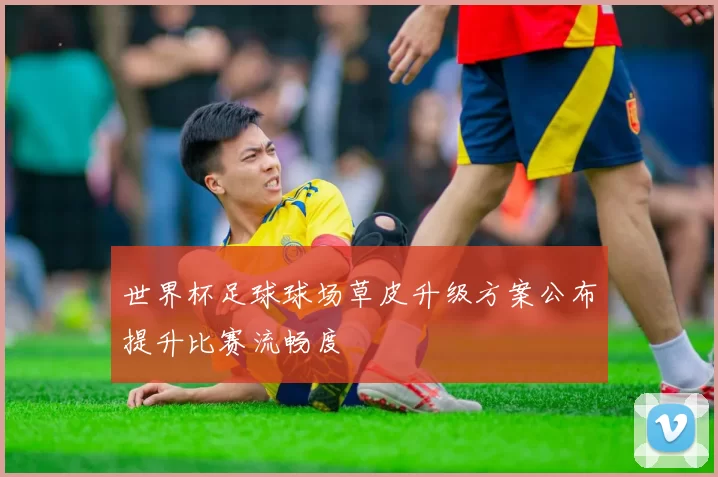 世界杯足球球场草皮升级方案公布提升比赛流畅度