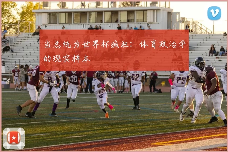 当总统为世界杯疯狂：体育政治学的现实样本