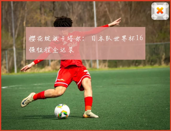 樱花绽放卡塔尔：日本队世界杯16强征程全记录