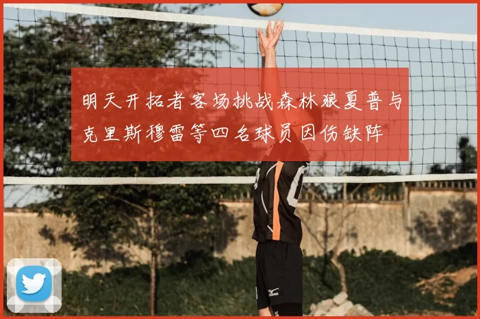 明天开拓者客场挑战森林狼夏普与克里斯穆雷等四名球员因伤缺阵