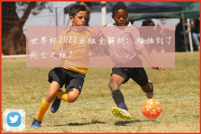 世界杯2022分组全解析：谁抽到了死亡之组？