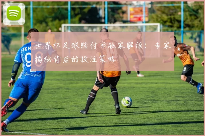 世界杯足球赔付率独家解读：专家揭秘背后的投注策略