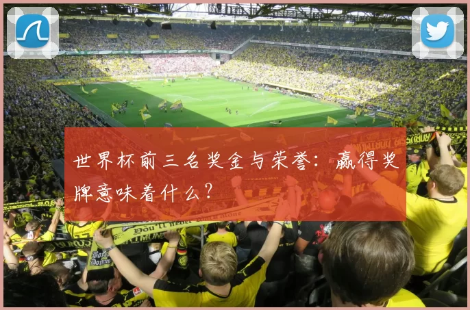 世界杯前三名奖金与荣誉：赢得奖牌意味着什么？