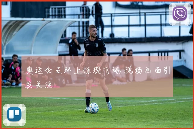 奥运会五环上惊现飞蛾 现场画面引发关注