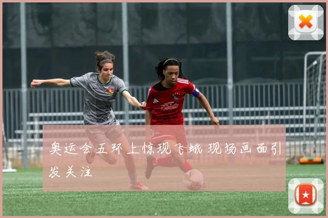 奥运会五环上惊现飞蛾 现场画面引发关注