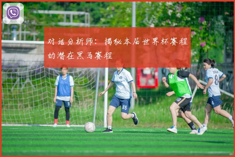 对话分析师：揭秘本届世界杯赛程的潜在黑马赛程