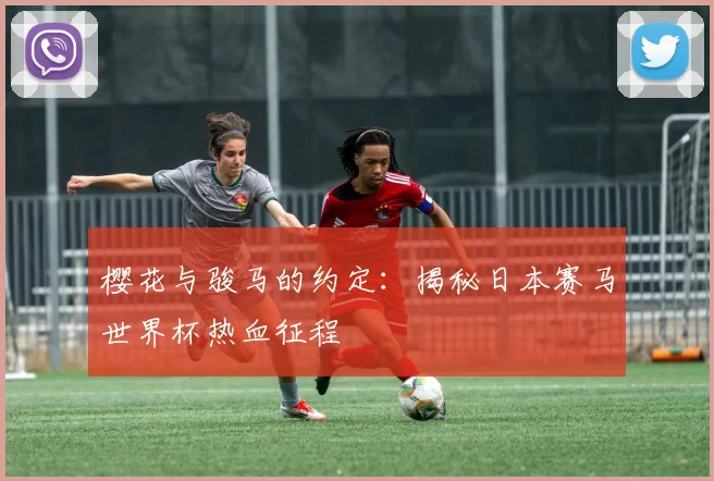 樱花与骏马的约定:揭秘日本赛马世界杯热血征程