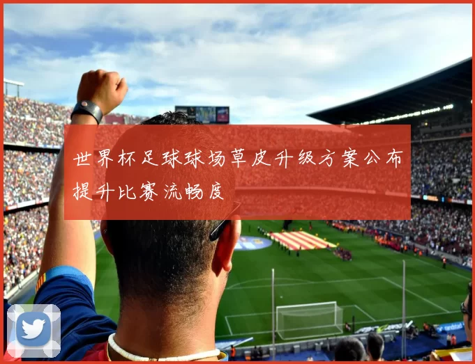 世界杯足球球场草皮升级方案公布提升比赛流畅度