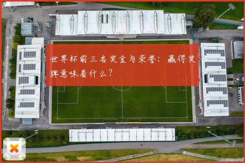 世界杯前三名奖金与荣誉：赢得奖牌意味着什么？