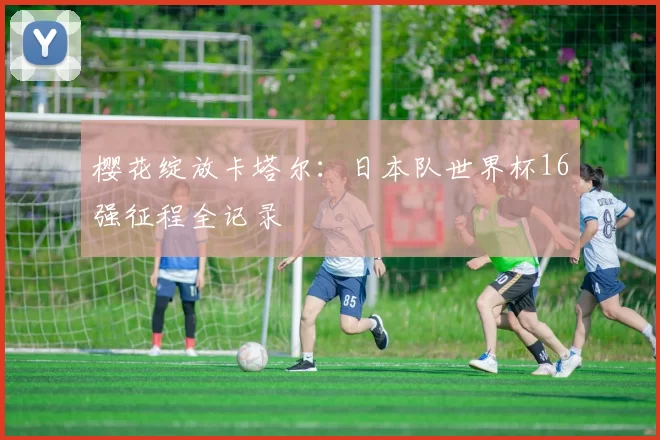 樱花绽放卡塔尔：日本队世界杯16强征程全记录