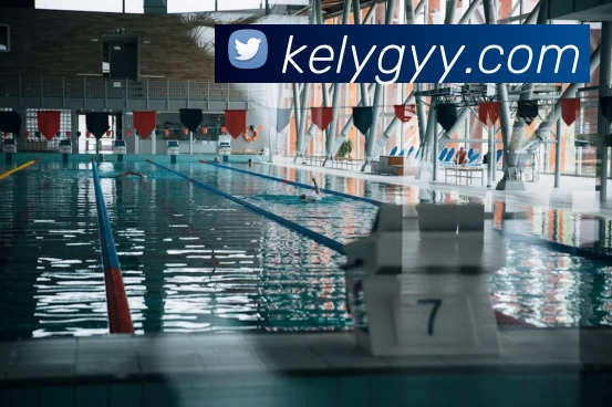 爱游戏体育发展历程